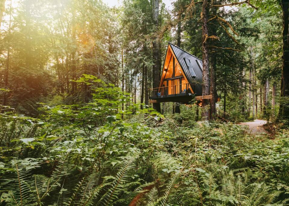 Villa The Treeframe Cabin à Index Extérieur photo