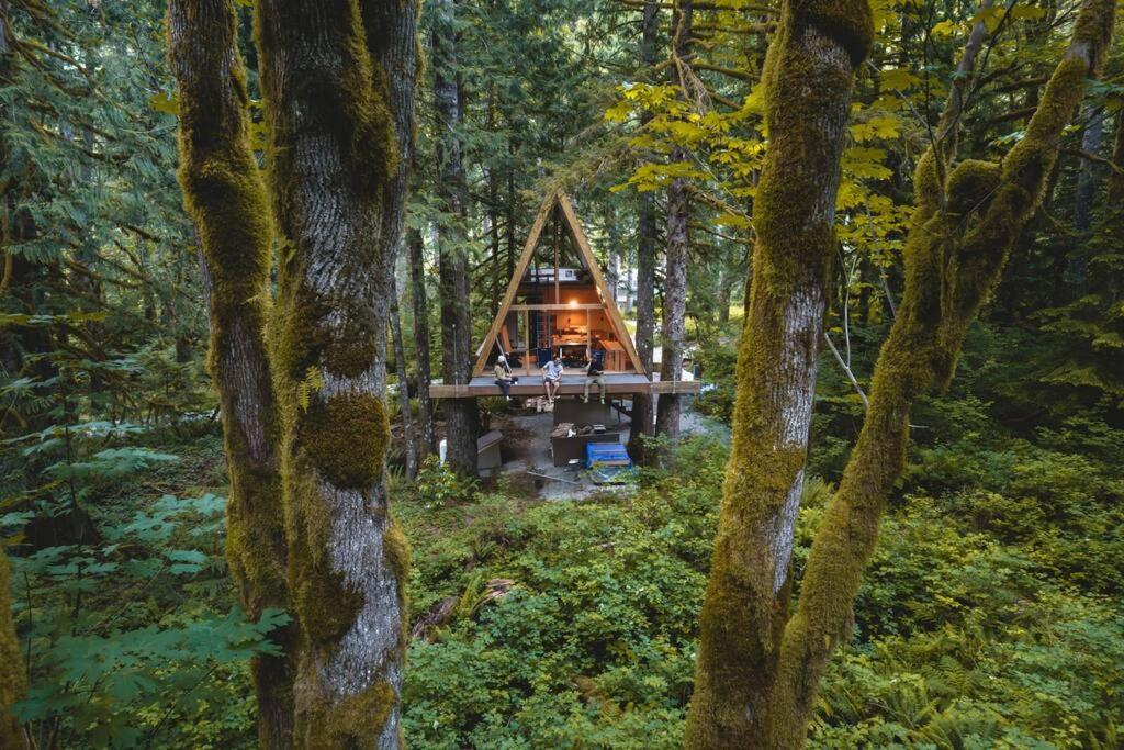 Villa The Treeframe Cabin à Index Extérieur photo