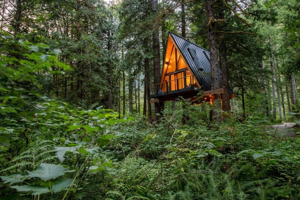 Villa The Treeframe Cabin à Index Extérieur photo